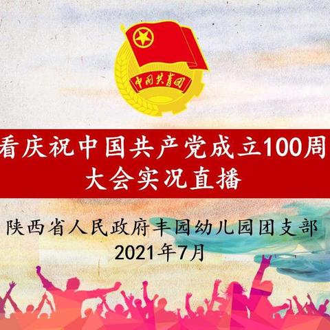 丰园幼儿园团支部组织团员青年收看庆祝中国共产党成立100周年大会实况直播