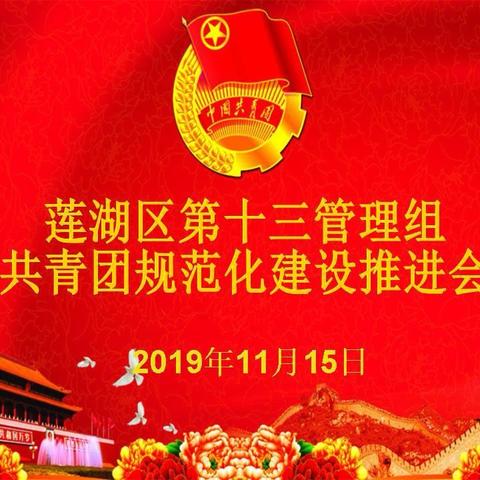莲湖区第十三管理组共青团组织规范化建设推进会