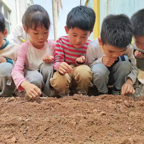 🌱拥抱春天，快乐种植🌱