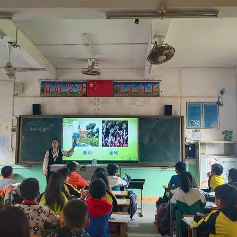 扬帆起航自奋楫 不负韶华勇向前 ——宝圩镇中心学校青年教师汇报课评比活动