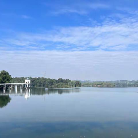 茜坑水库停水检修工作日报