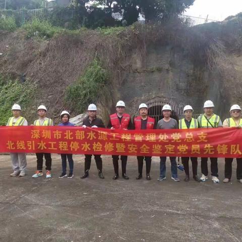 茜坑水库停水检修工作日报