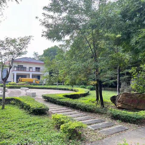 茜坑水库停水检修工作日报