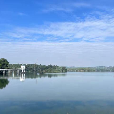 茜坑水库停水检修工作日报