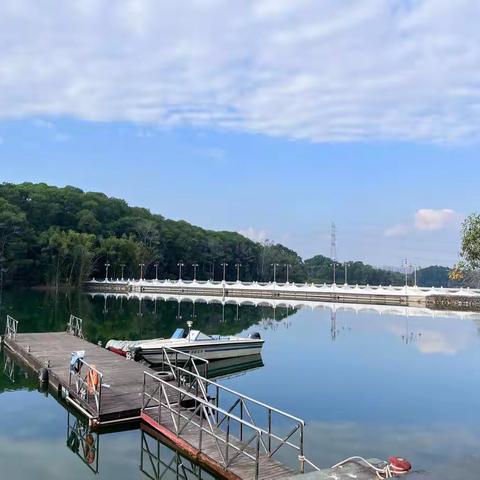 茜坑水库停水检修工作日报