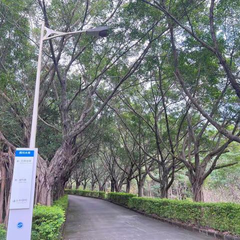 茜坑水库停水检修工作日报