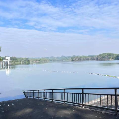 茜坑水库停水检修工作日报