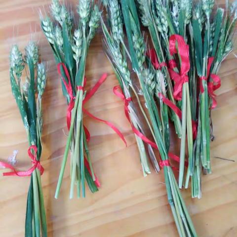 收获的麦穗【临沂商城实验学校幼儿园中五】