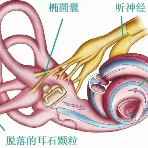 眩晕有办法 治疗智能化