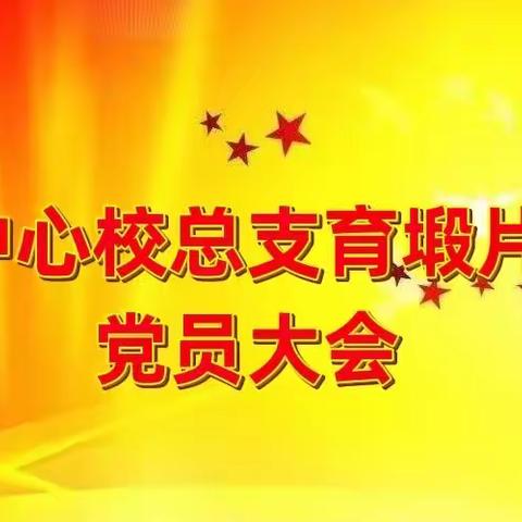 育塅中心校总支育塅片支部召开党员生活大会