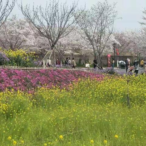 偃师市实验小学五二班田艺媛的最美读书身影