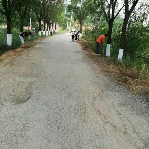 北韩乡李家堡村环境整治敢于动真碰硬