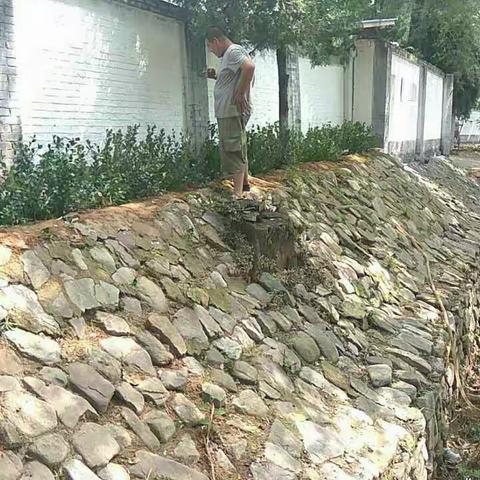 北韩村部分路段进行绿化美化