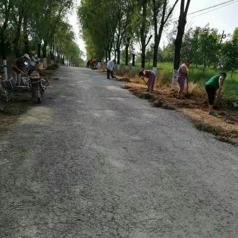 顶烈日冒酷暑 环境整治在行动