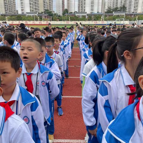 11月15日海南白驹学校三（6）班学习小记