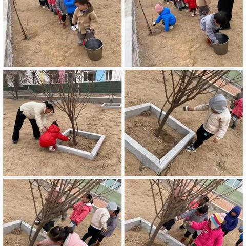 库伦旗白音花镇中心幼儿园小班“植树节”活动