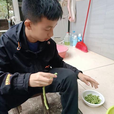 素炒豆角