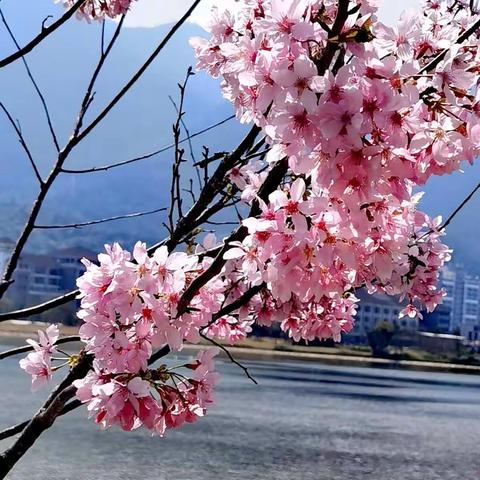 2022—3—12：旗山湖一日游