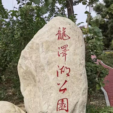 春洒泰安龙泽湖