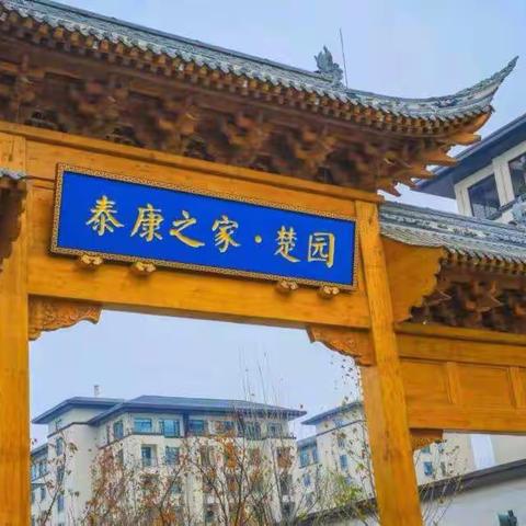 “温馨之家  安享晚年 ”                       张宁女士多彩的晚年生活印象