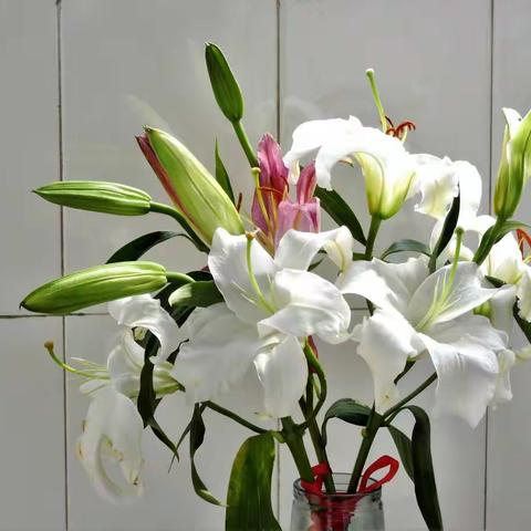 花为伴