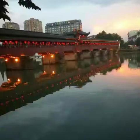 再见——武义我的第二故乡！