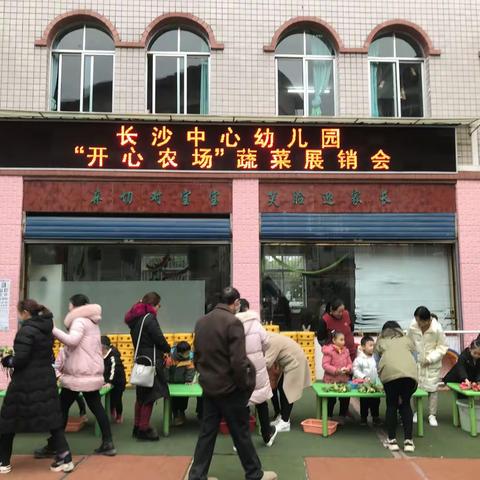 长沙中心幼儿园开心农场蔬菜展销会