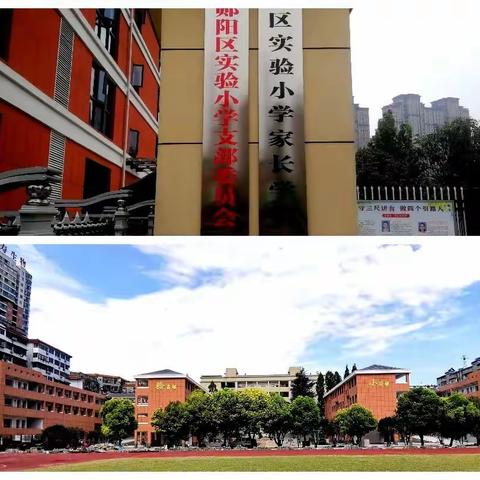 播撒爱  等花开—— 郧阳区实验小学一年级新生家长入学第一课