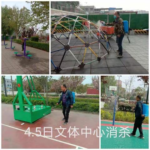 高陵区文化和旅游体育局开展卫生环境整治专项行动