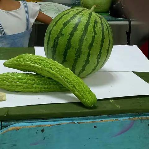 恒福街校区！西瓜写生！！