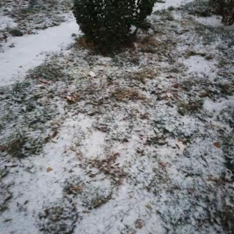 南委泉九年制学校      送教之路（六）