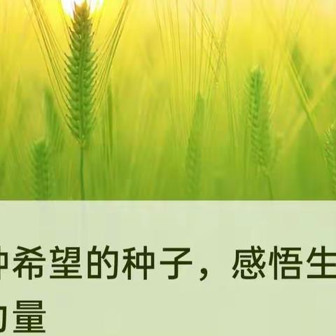 洛滨中学七年级七班种植实践活动