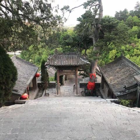 紫凌儿的美篇