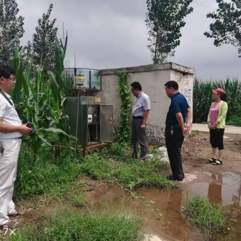 邯郸市植保站站长毕章宝带队来临漳指导草地贪夜蛾监测防控工作