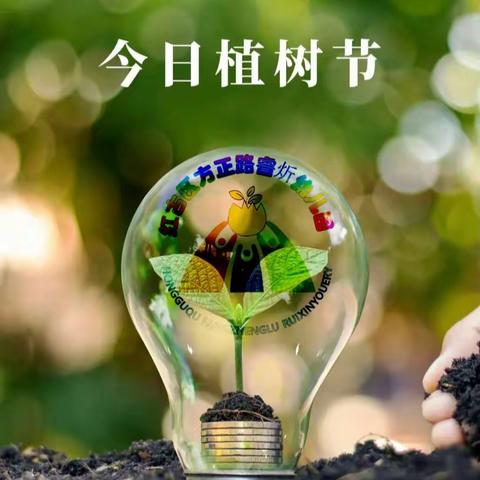 ✨小小行动，大大收获✨——方正路睿炘幼儿园植树节🌳温暖活动在进行❤️