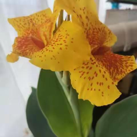 “”疫”中有我