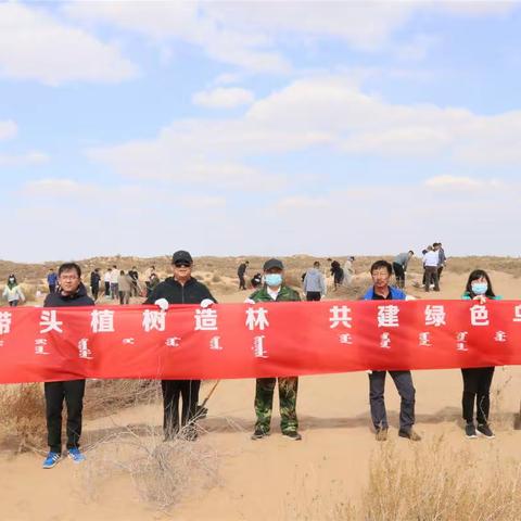 春回大地万物苏 植树造林添新绿