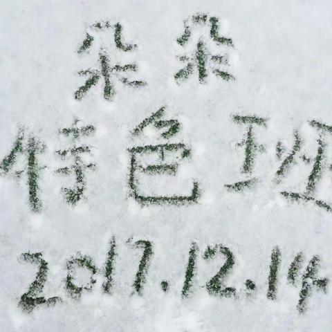 朵朵特色班—雪宝宝