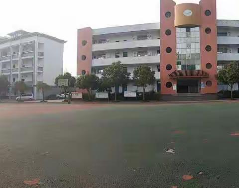 同乐中学|教育开放周