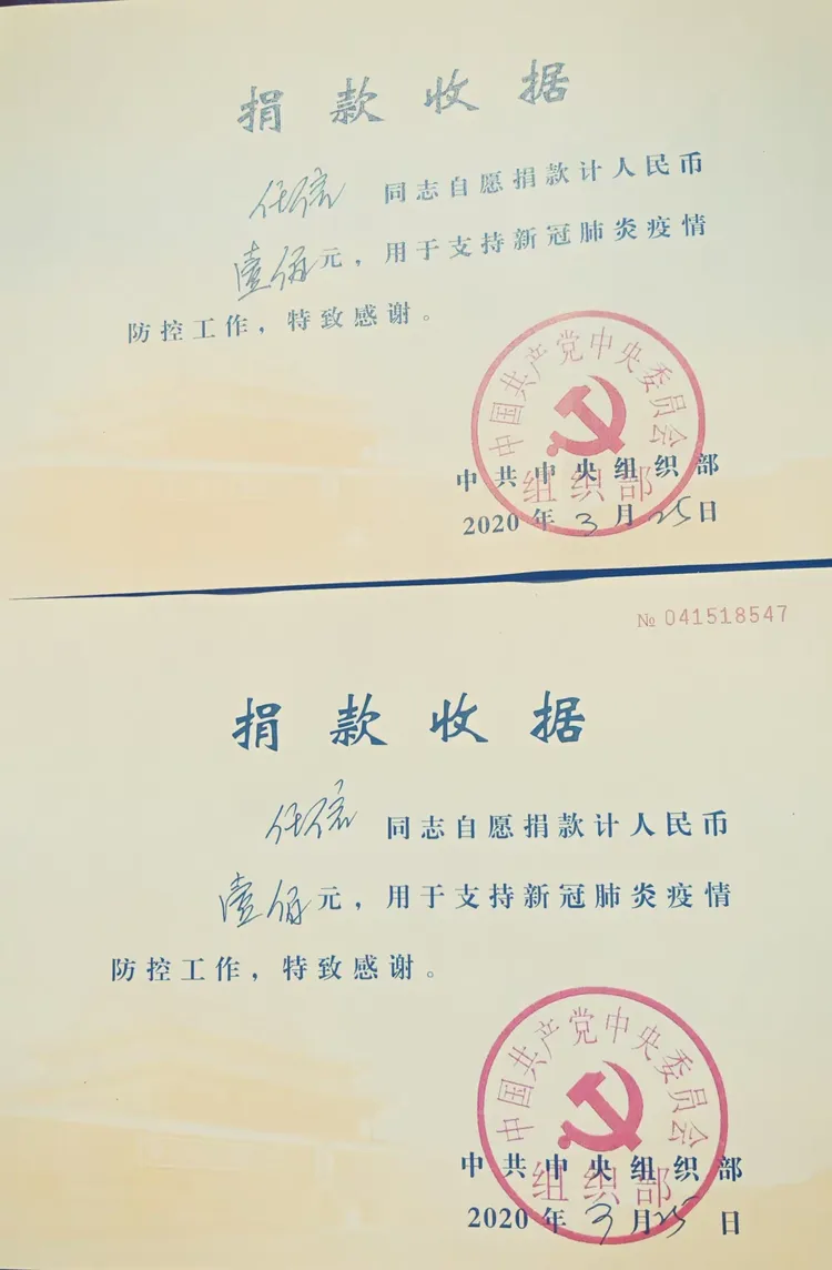 岑泊村党支部党员主题活动记