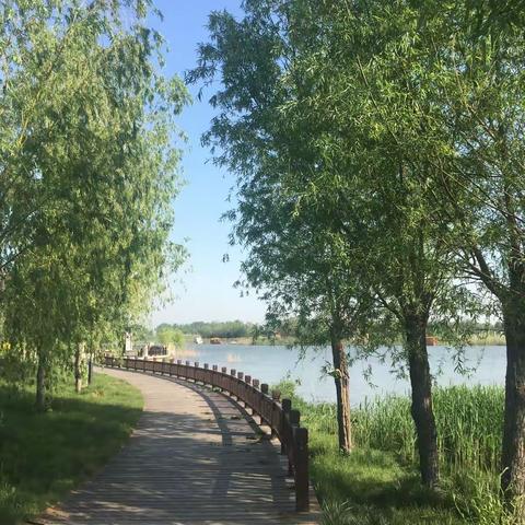 走在通往夏天的路上