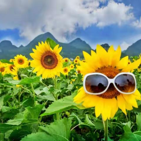 “研无止境，邂逅花开”--广州路中学化学组第七次教研活动