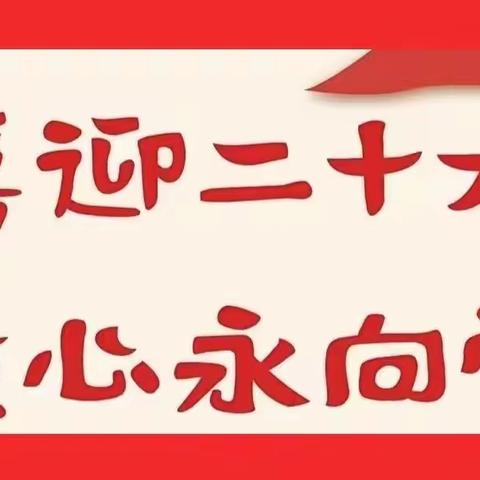 “喜迎二十大   童心永向党”——漳县武阳幼儿园迎“国庆”系列活动之幼儿运动会侧记