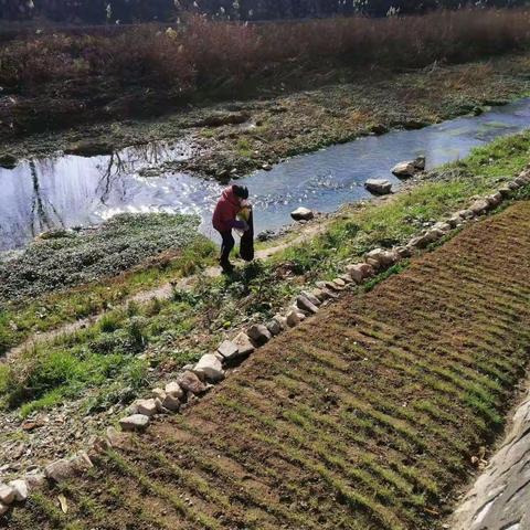 三川镇:全力推进人居环境整治，建设整洁美丽乡村