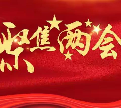 高一(9)班团支部主题团日活动：“聚焦两会 跟党走”