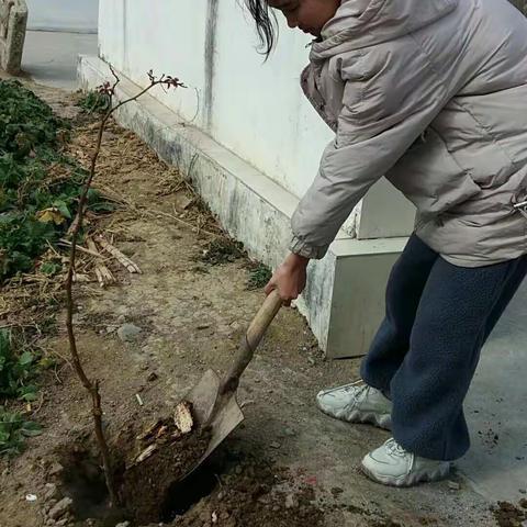 为地球增一份绿色，我们一起植树吧！