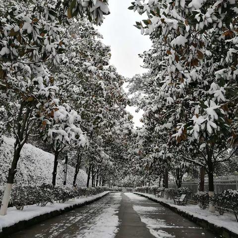 相约2018年的最后一场雪