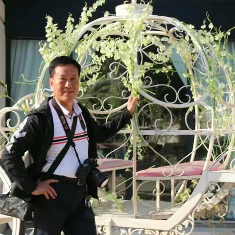 我的《爱情小镇》