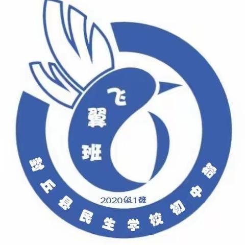 同心协力，共育未来——封丘县民生学校初中部七一班家访报告