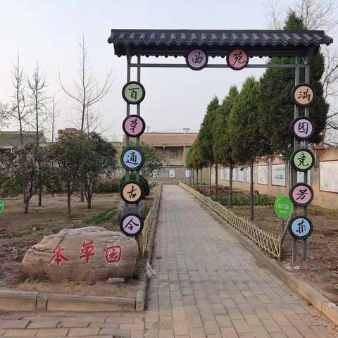 让中医药文化的种子在孩子们心中萌发